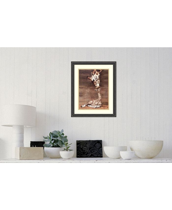 Amanti Art Makulu Giraffe First Kiss Framed Art Print 22" x 18