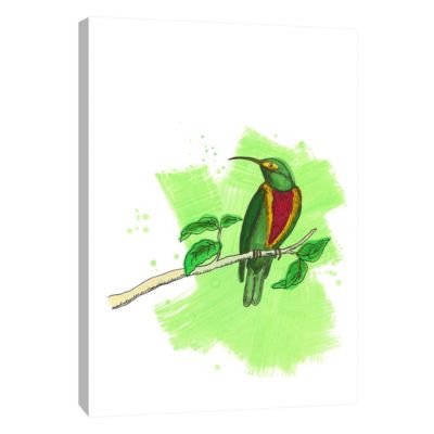 PTM Images