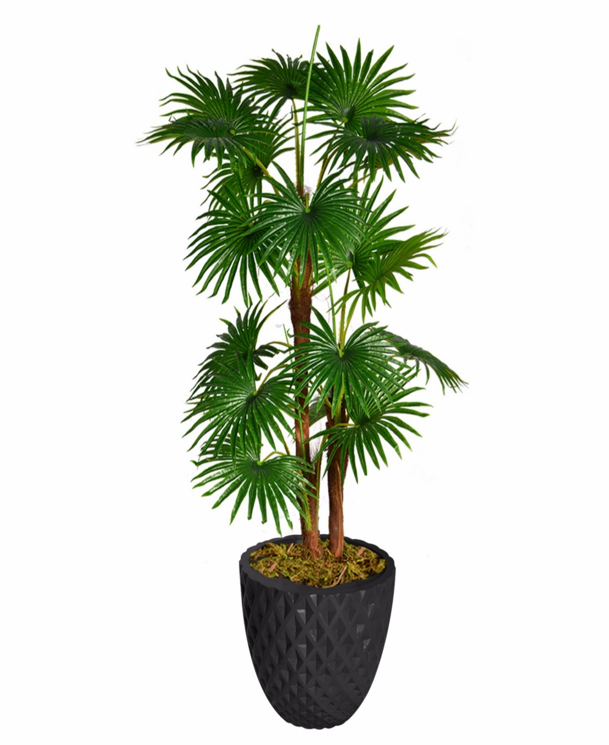 Artificial Faux Real Touch 54" Tall Fan Palm Tree With Faux Burlap Kit And 13.6" Black Honeycomb Fiberstone Planter - Assorted