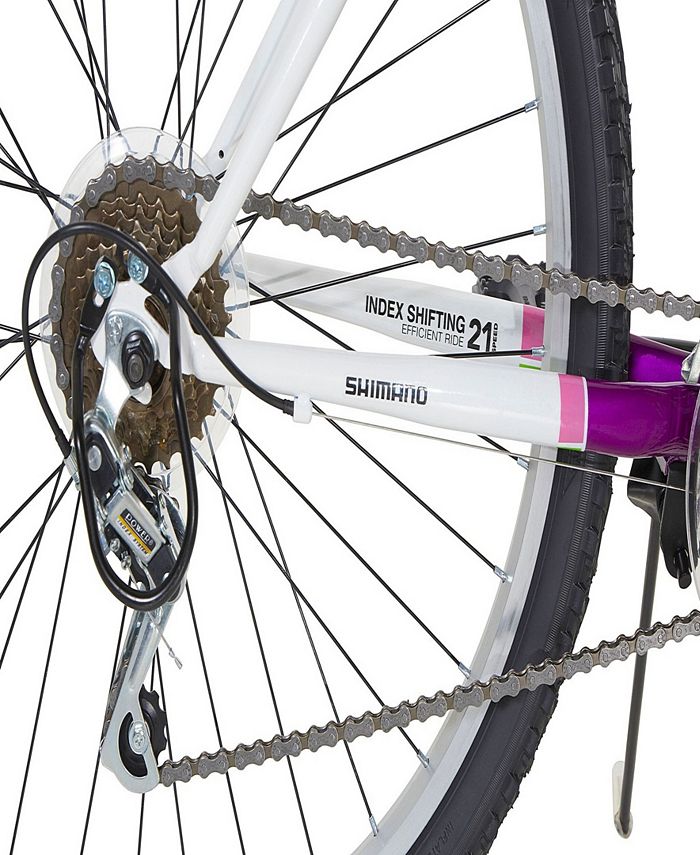 dynacraft alpine eagle