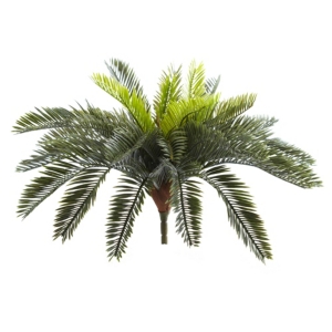 Nearly Natural 13" Cycas Artificial Plant, Set Of 2 In Green