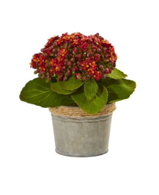 Kalanchoe Artificial Arrangements, Set of 3