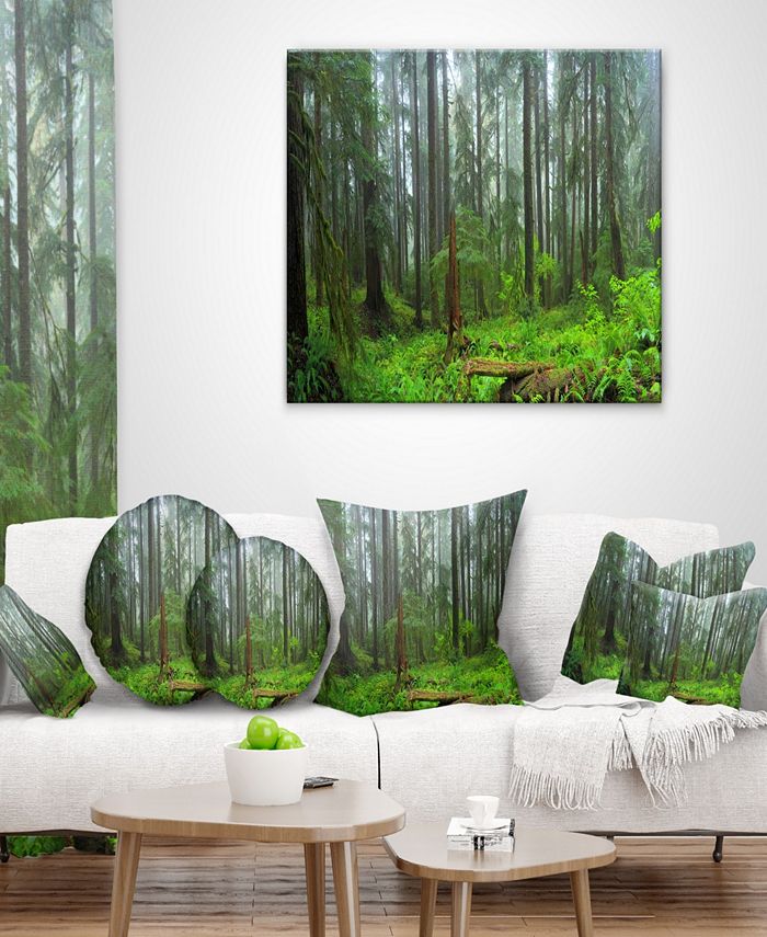 Design Art Designart Hoh Rain Forest Landscape Photography Canvas Art ...