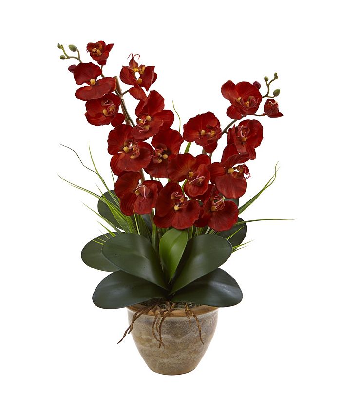 Nearly Natural Double Phalaenopsis Harvest Silk Orchid Arrangement in ...