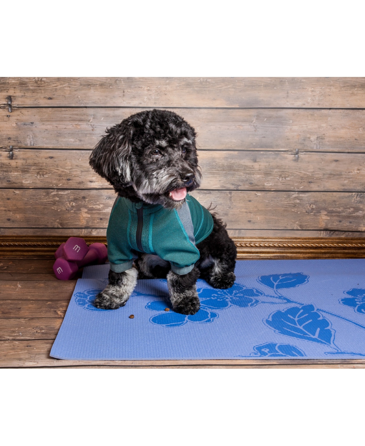 Dog Helios 'Eboneflow' Flexible and Breathable Performance Dog Yoga T-Shirt