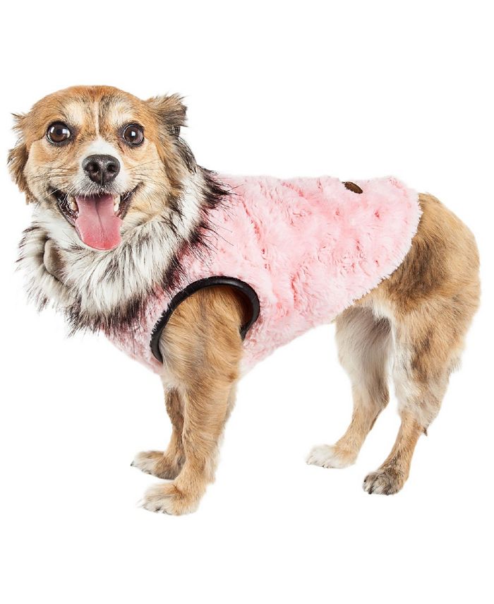 Macys dog coat sale