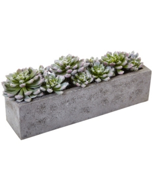 NEARLY NATURAL SUCCULENT GARDEN W/TEXTURED CONCRETE PLANTER 