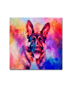 Trademark Global Jai Johnson 'jazzy German Shepherd' Canvas Art In Multi