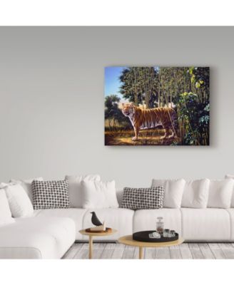 Trademark Global D. Rusty Rust 'Hidden Tiger' Canvas Art - 24" x 18" x 2"