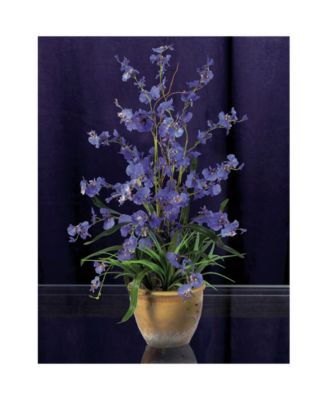 Dancing Lady Silk Orchid Arrangement