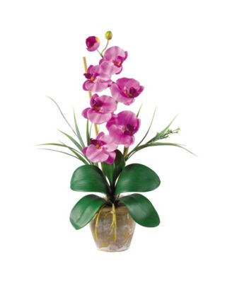 Nearly Natural - Phalaenopsis Silk Orchid Flower Arrangement