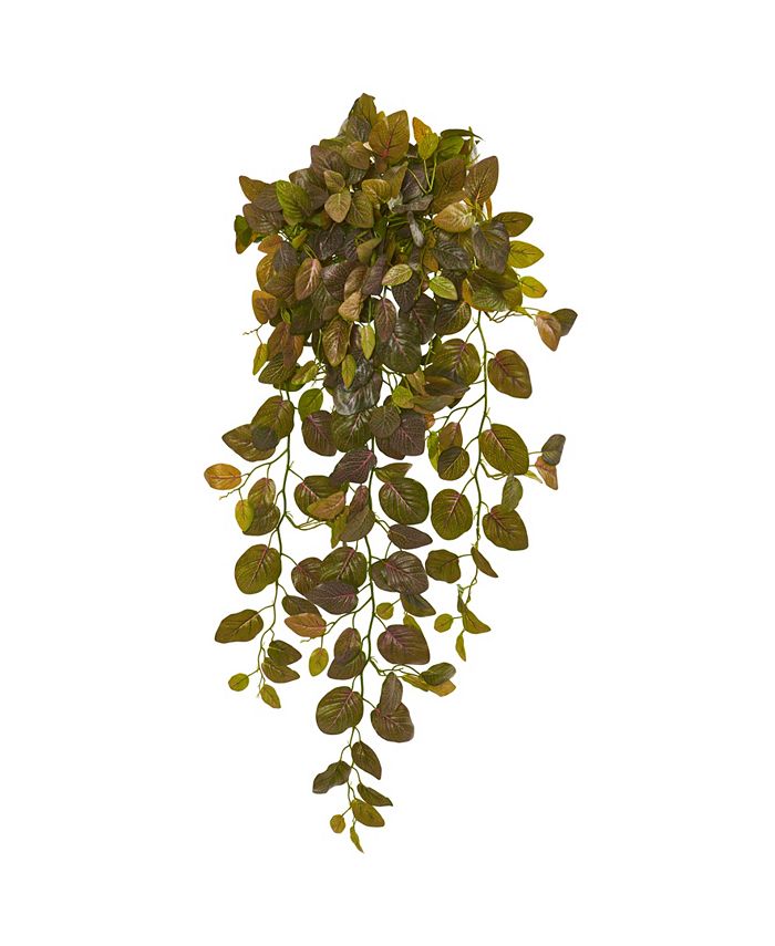 Nearly Natural - 36” Fittonia Hanging Bush Artificial Plant (Set of 2) (Real Touch)