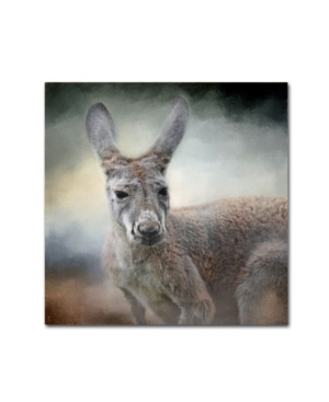 Trademark Global Jai Johnson 'western Grey Kangaroo' Canvas Art In Multi