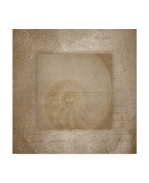Trademark Global Lightbox Journal 'sea Life Shell Spiral' Canvas Art In Multi