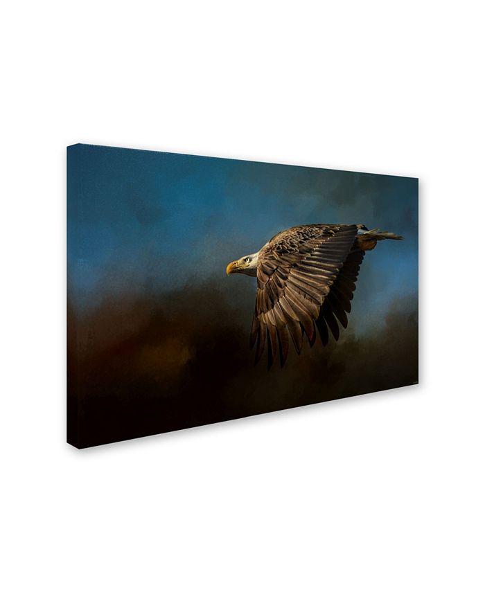 Trademark Global Jai Johnson 'Storm Chaser Bald Eagle' Canvas Art - 47 ...