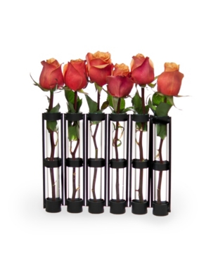 Danya B . Six-tube Hinged Vases On Rings Stands In Black