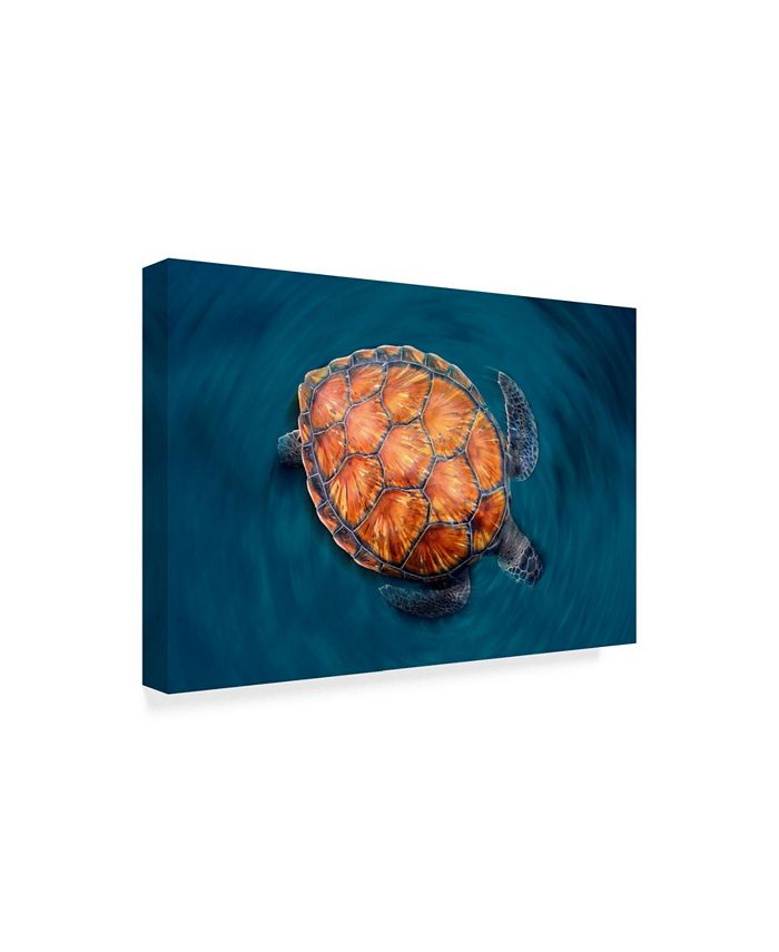 Trademark Global Sergi Garcia 'Spin Turtle' Canvas Art - 19