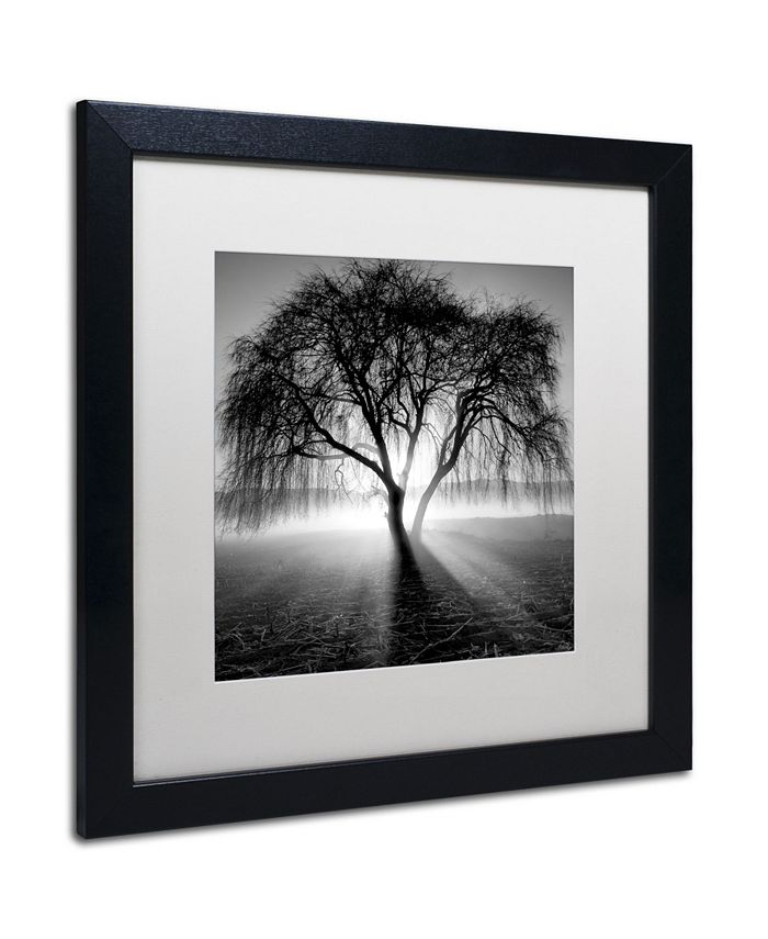 Trademark Global Moises Levy 'Lightning Tree I' Matted Framed Art - 16 ...