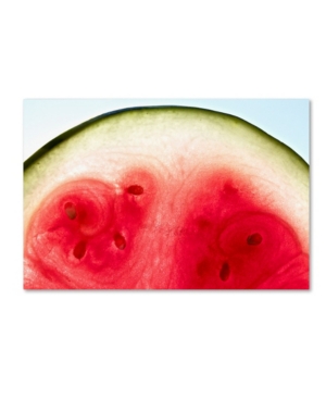 Trademark Global Sarah Saratonina 'watermelon Pathways' Canvas Art In Multi