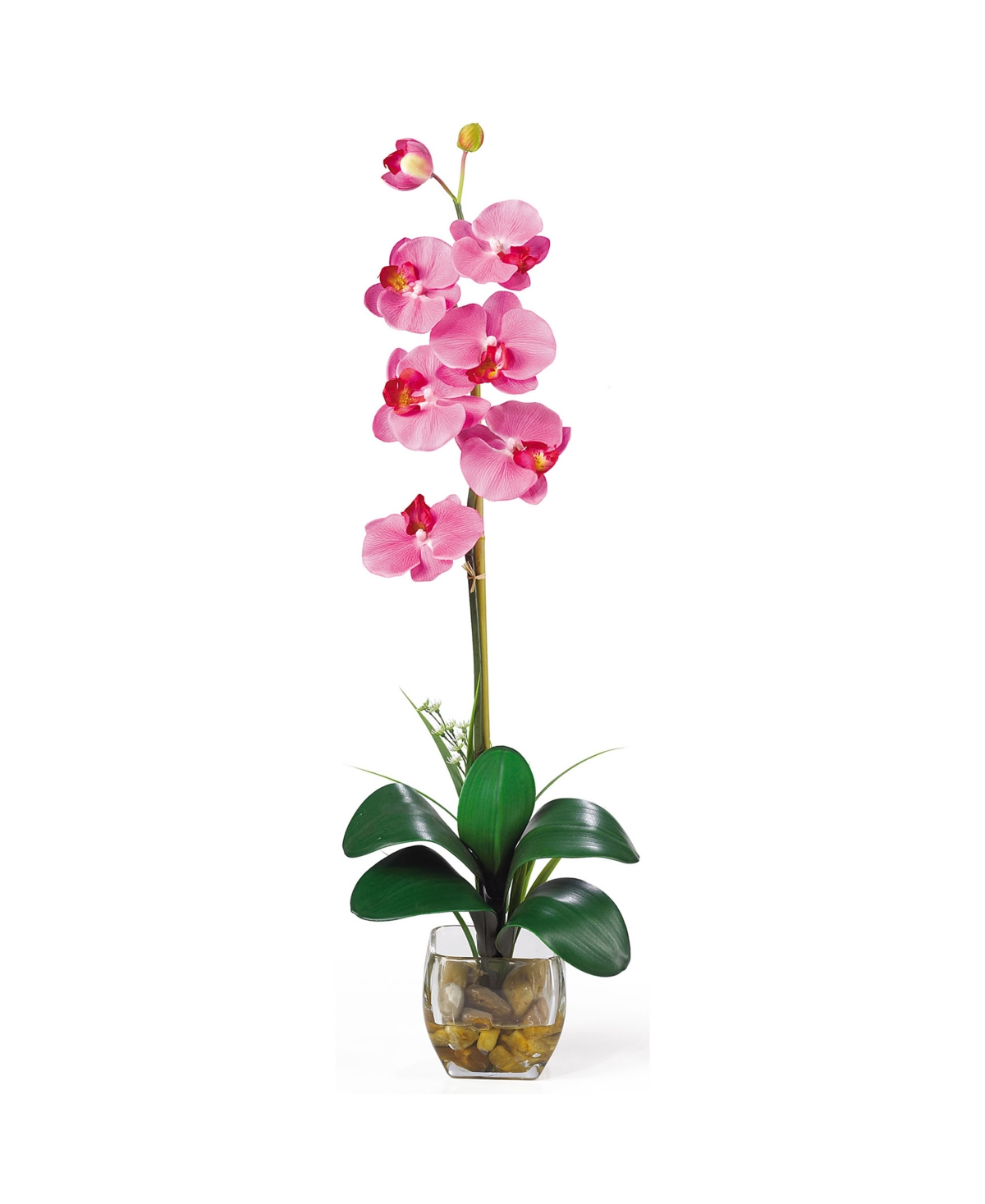 Nearly Natural Single Phalaenopsis Liquid Illusion Silk Flower Arrangement