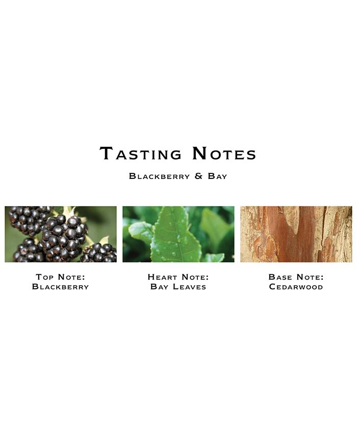 Jo Malone London Blackberry & Bay Body & Hand Wash, 8.5oz. Macy's