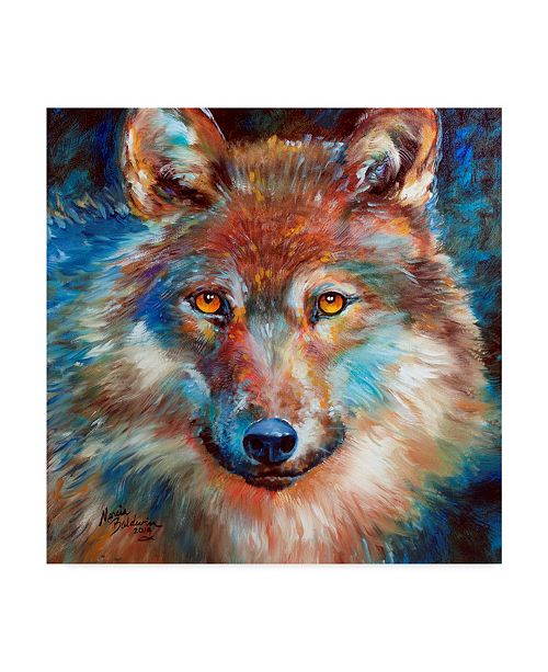 Trademark Global Marcia Baldwin Timber Wolf Abstract Canvas Art
