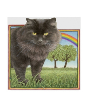 Trademark Global Francien Van Westering 'black Cat And Rainbow' Canvas Art In Multi