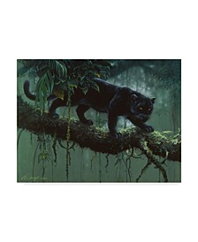 Harro Maass 'Black Jaguar Stalking' Canvas Art - 24" x 18"