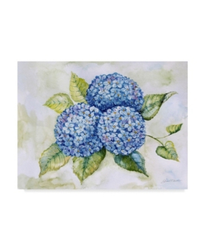 Trademark Global Jean Plout 'hydrangeas 1' Canvas Art In Multi