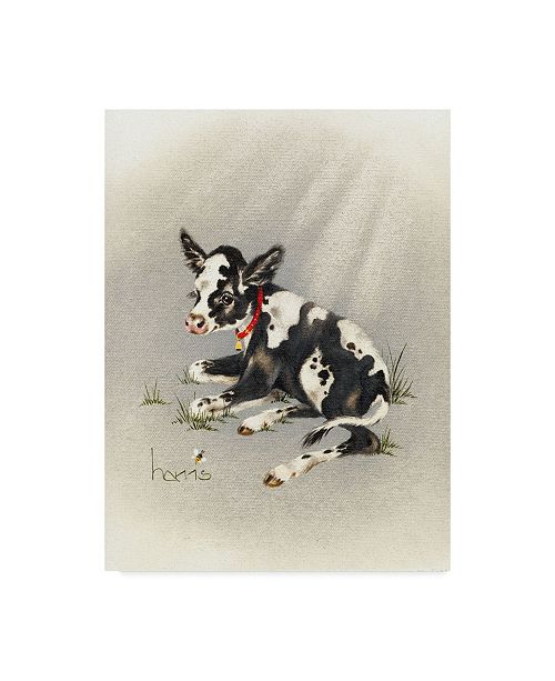 Trademark Global Peggy Harris Cream Of The Crop Canvas Art 14