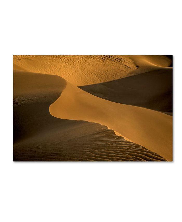 Trademark Global Dan Ballard 'Sand Dunes' Canvas Art - 30