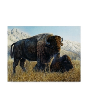 Trademark Global Rusty Frentner 'resting Buffalo' Canvas Art In Multi