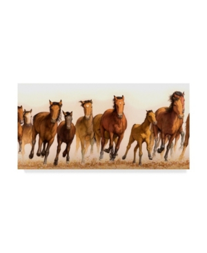 Trademark Global James W. Johnson 'running Horses Group' Canvas Art In Multi