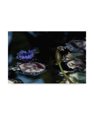 Trademark Global Kurt Shaffer 'the Dragonfly And The Lotus' Canvas Art In Multi
