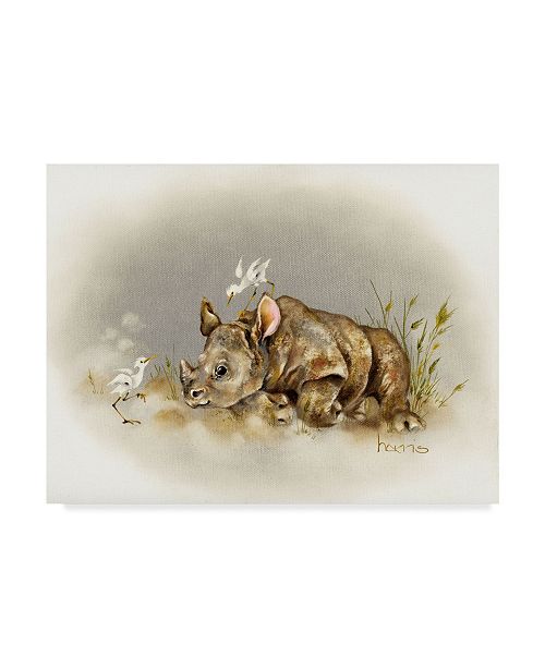 Trademark Global Peggy Harris Rhino Baby Canvas Art 32 X 24