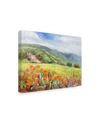 Li Bo 'Blooming Poppy 1' Canvas Art - 19" x 14"