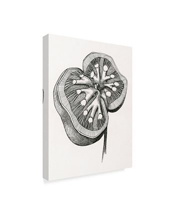 Trademark Global Lucy Loo Wales 'Kidney' Canvas Art - 24" x 32" - Macy's