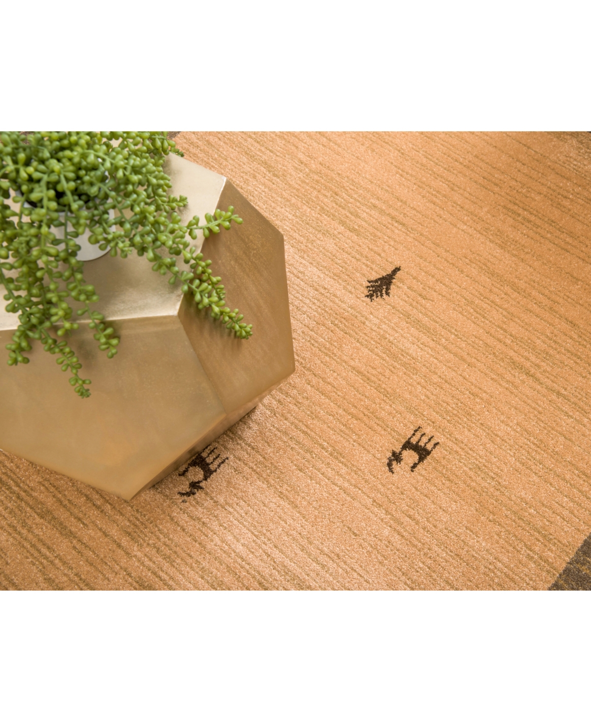 Bayshore Home Ojas Oja1Area Rug - Tan