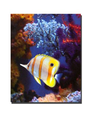 Trademark Global Longnose Butterfly Fish By Amy Vangsgard Canvas Art ...