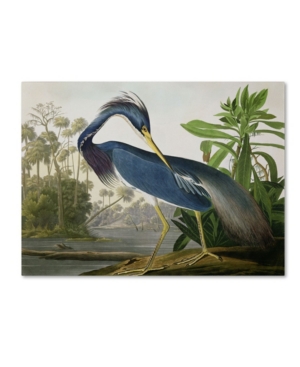 Trademark Global John James Audubon 'louisiana Heron' Canvas Art In Multi