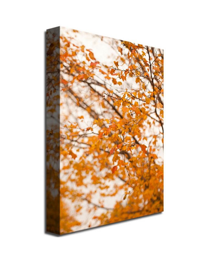 Trademark Global Ariane Moshayedi 'Michigan Orange' Canvas Art - 30