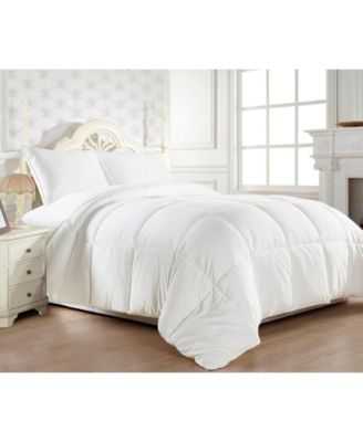 Elegant Comfort