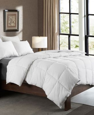 Cheer Collection - Luxury All Season White Goose Down Alternative Comforter - Twin