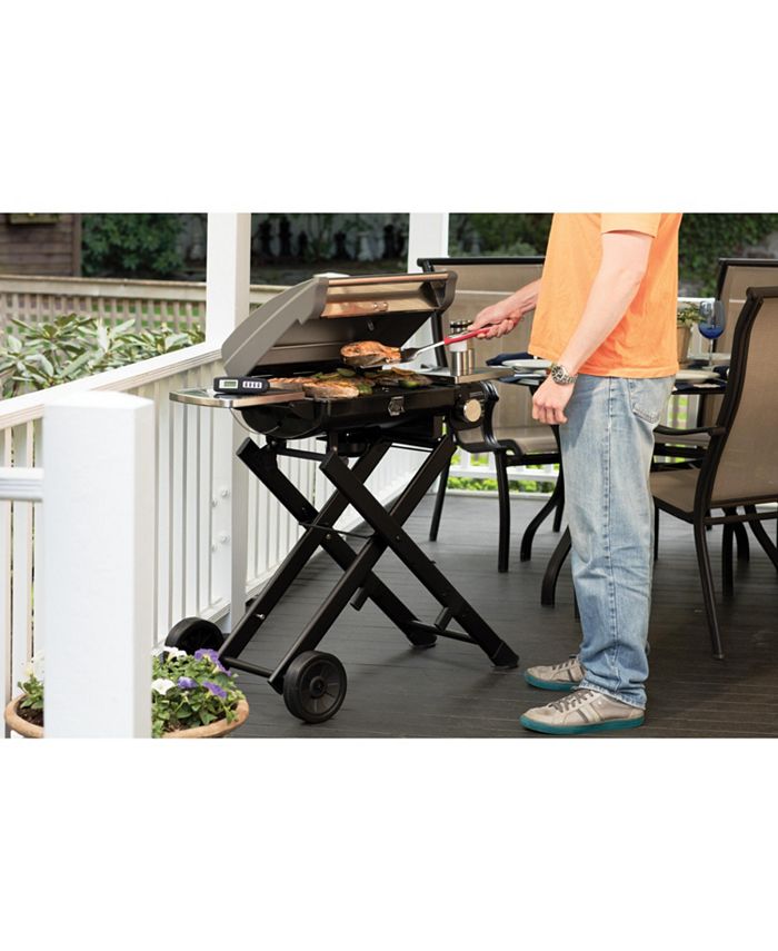 Cuisinart - All Foods Roll-Away Gas Grill