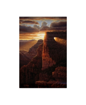 Trademark Global R W Hedge The Light Of Life Canvas Art In Multi