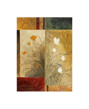 Trademark Global Pablo Esteban White And Yellow Flowers Canvas Art In Multi