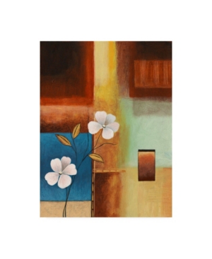 Trademark Global Pablo Esteban Flowers And Squares Canvas Art In Multi