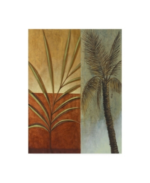 Trademark Global Pablo Esteban Palm Trees With Fronds Canvas Art In Multi