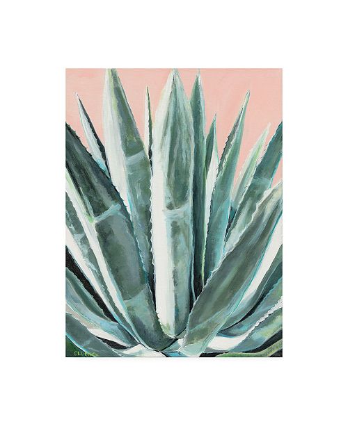 Trademark Global Alana Clumeck Laughter Agave Canvas Art 15 5 X 21 Reviews All Wall Decor Home Decor Macy S