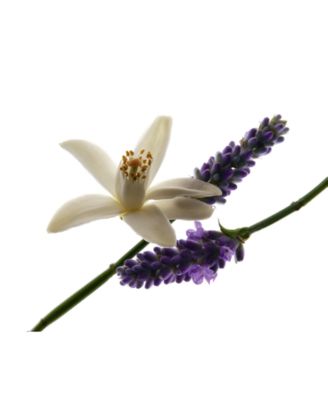 Yves Saint Laurent 2-Pc. Libre Eau de Parfum Gift Set